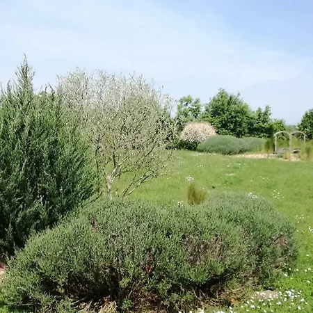 Le Petit Paradis * Morannes sur Sarthe-Daumeray