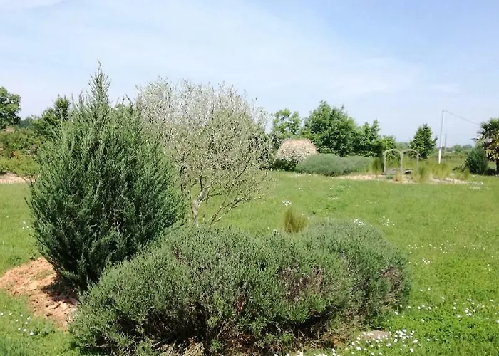 Le Petit Paradis * Morannes sur Sarthe-Daumeray